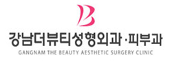 gangnam the beauty aesthetic surgery clinic